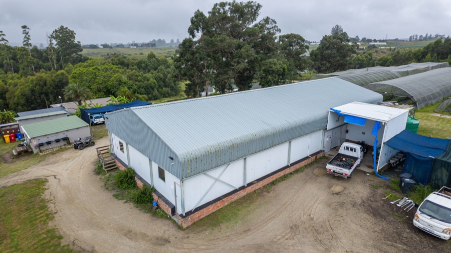 Commercial Property for Sale in Sedgefield Rural Western Cape